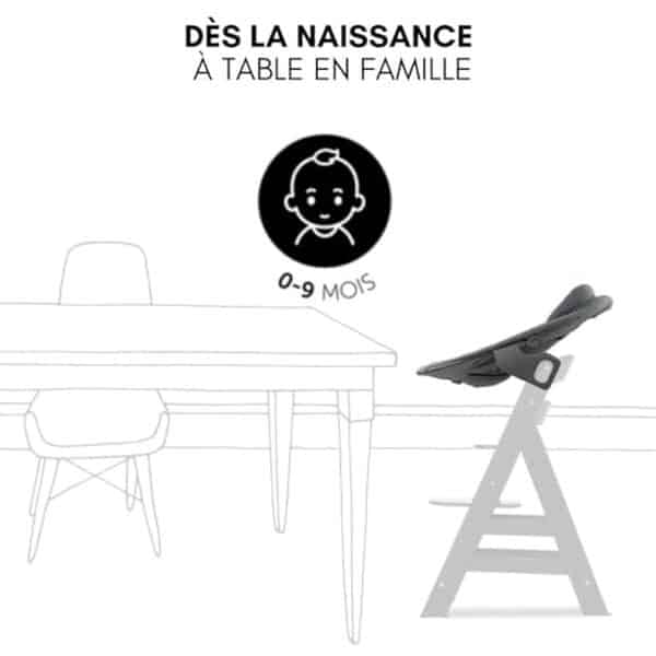 Découvrez notre test détaillé de la chaise haute bébé Hauck Alpha Move avec transat premium : design, confort, sécurité et prix pour bien choisir. 