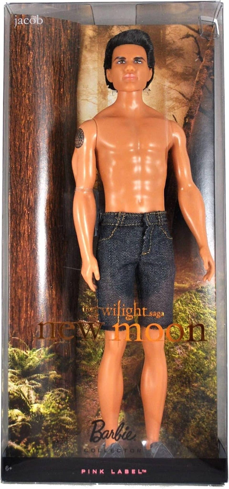 Avis : poupée Barbie Jacob R9909 - une collection Twilight à ne pas manquer